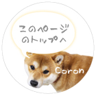 このページのトップへ