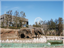 到津の森公園